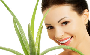 article-201512017213562495000