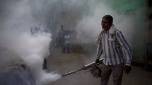 delhi_dengue_759