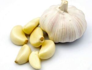 garlic-cancer