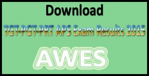 AWES-result-2015